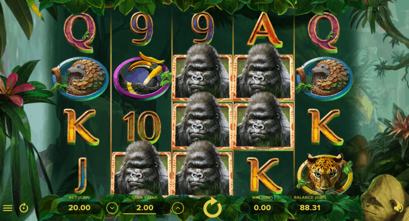 Gorilla Kingdom slot review